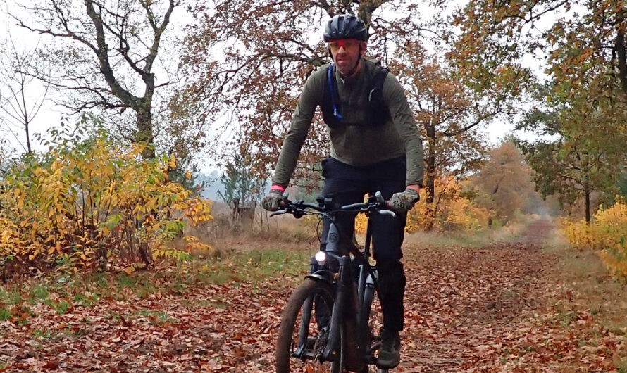 Herfst met Agu, Argyle Green is the new Black