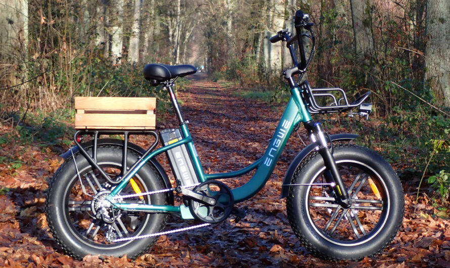 Kerstinkopen met de Engwe L20 Boost